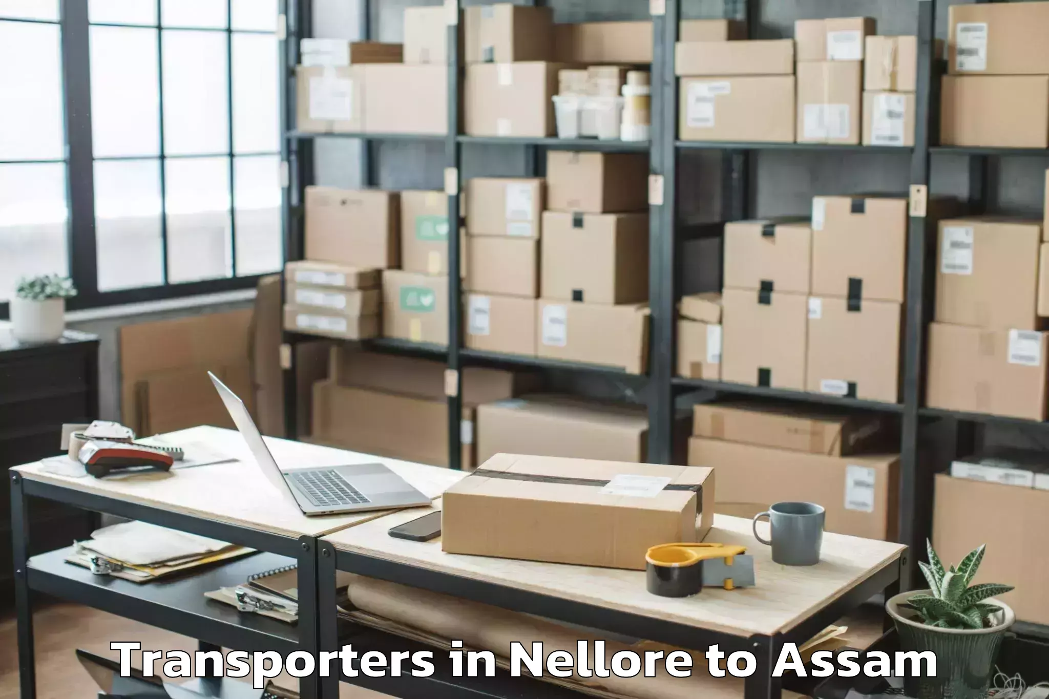 Book Nellore to Lumding Transporters Online